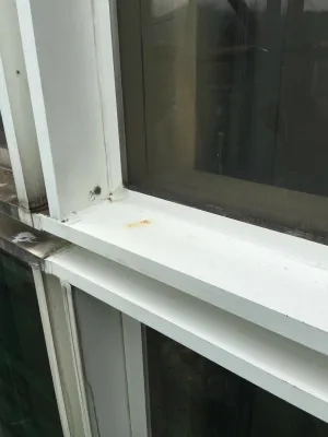 吊船清洗外牆