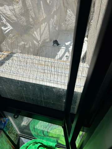 吊船清洗外牆
