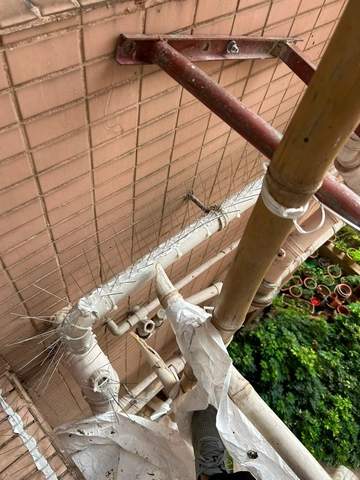 吊船清洗外牆